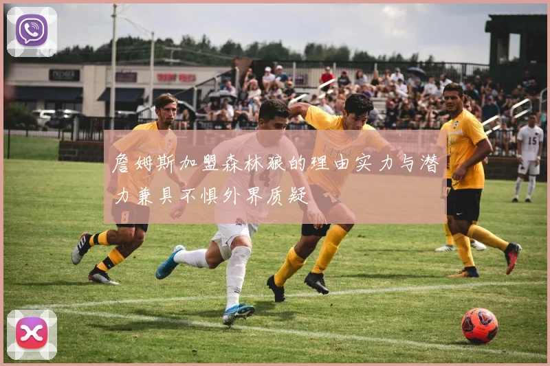 詹姆斯加盟森林狼的理由实力与潜力兼具不惧外界质疑