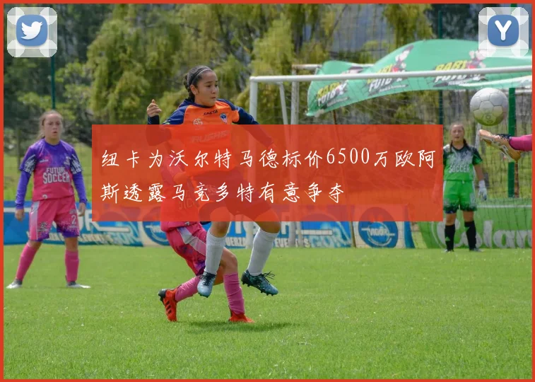 纽卡为沃尔特马德标价6500万欧阿斯透露马竞多特有意争夺